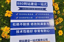 安康网络推广网站优化