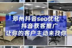 白山抖音seo哪家好做