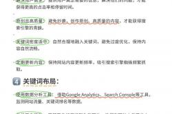 万安网站关键词优化
