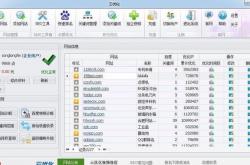 手机网站seo软件sit