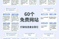 大型网站优化排行榜最新