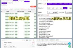宁波网络seo工具