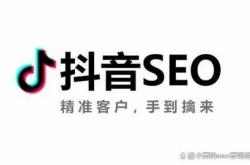 西藏抖音优化seo