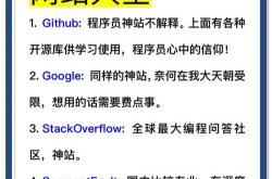不需要seo的网站