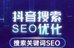 怎么设计seo排名项目
