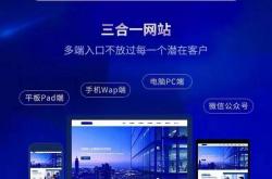 平湖论坛网站优化