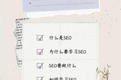 关于seo建议的信息