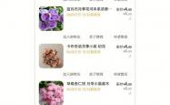 网站排名优化询宙r斯优惠