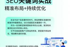 湛江seo优化实战