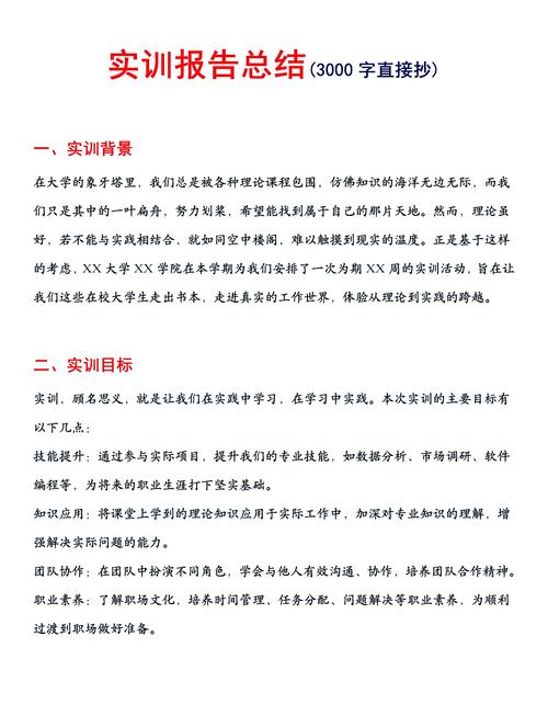seo实训心得
