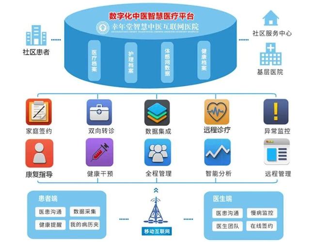 医疗网站建设和优化方案