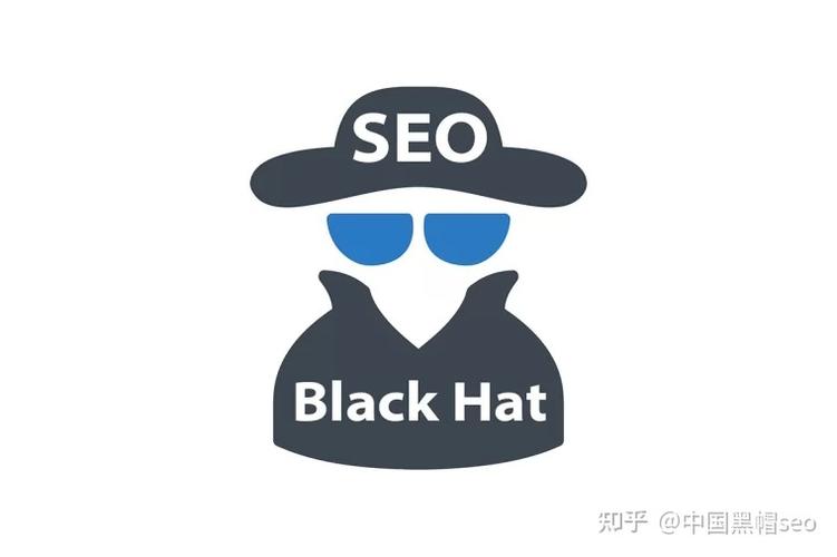 seo帽子视频教程