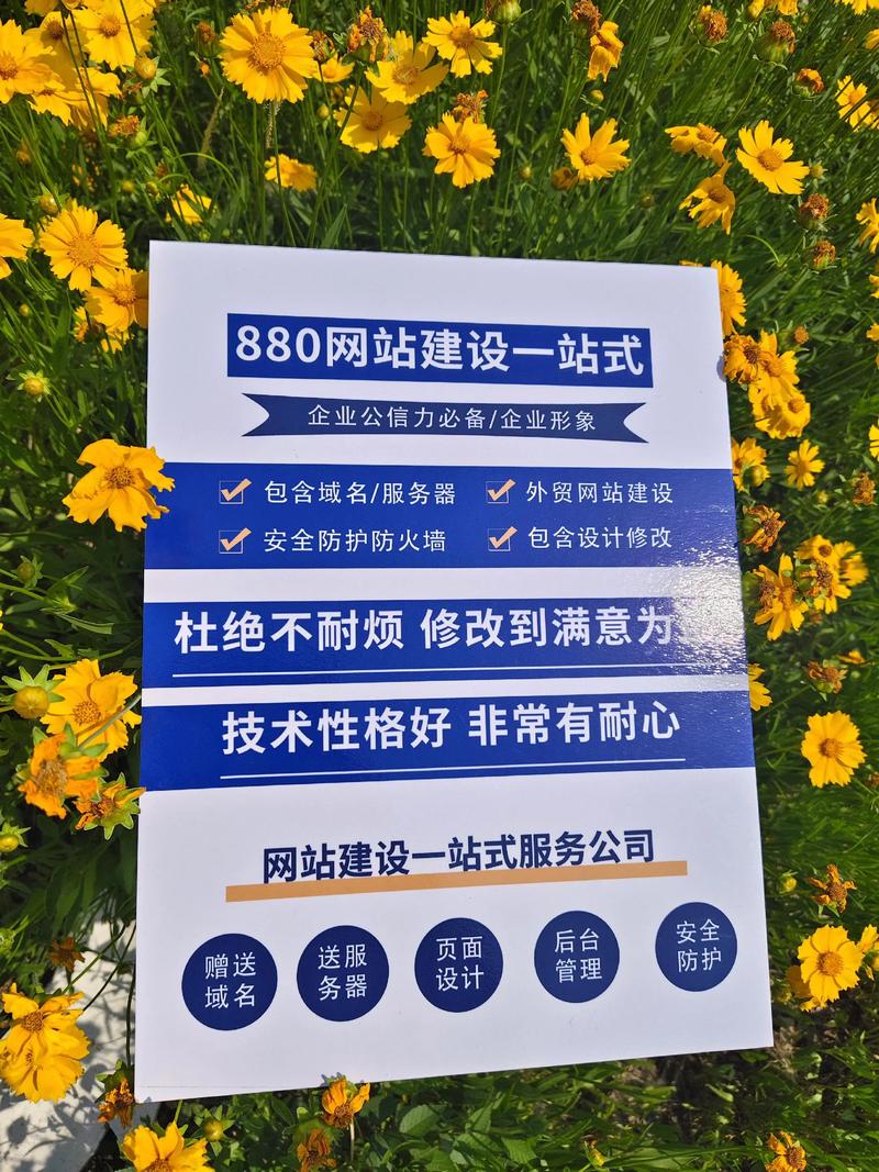 新乡靠谱网站优化哪家好