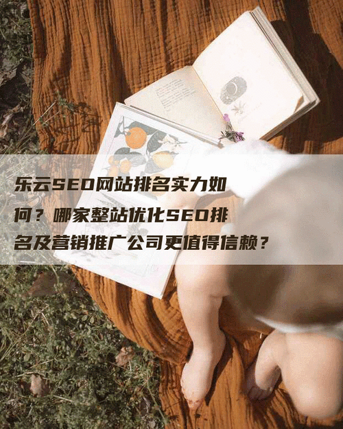 网站seo知名乐云seo专家