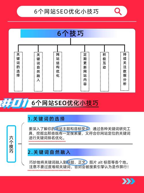 临沂seo优化排名代理