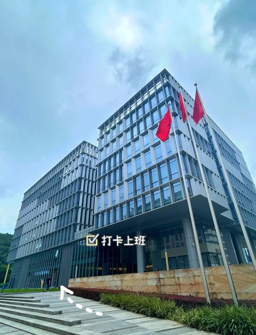 上饶seo外包公司