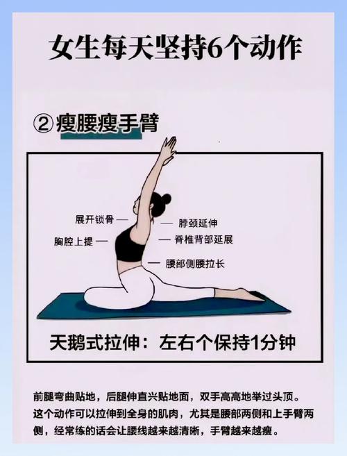 SEO基础瑜伽减肥