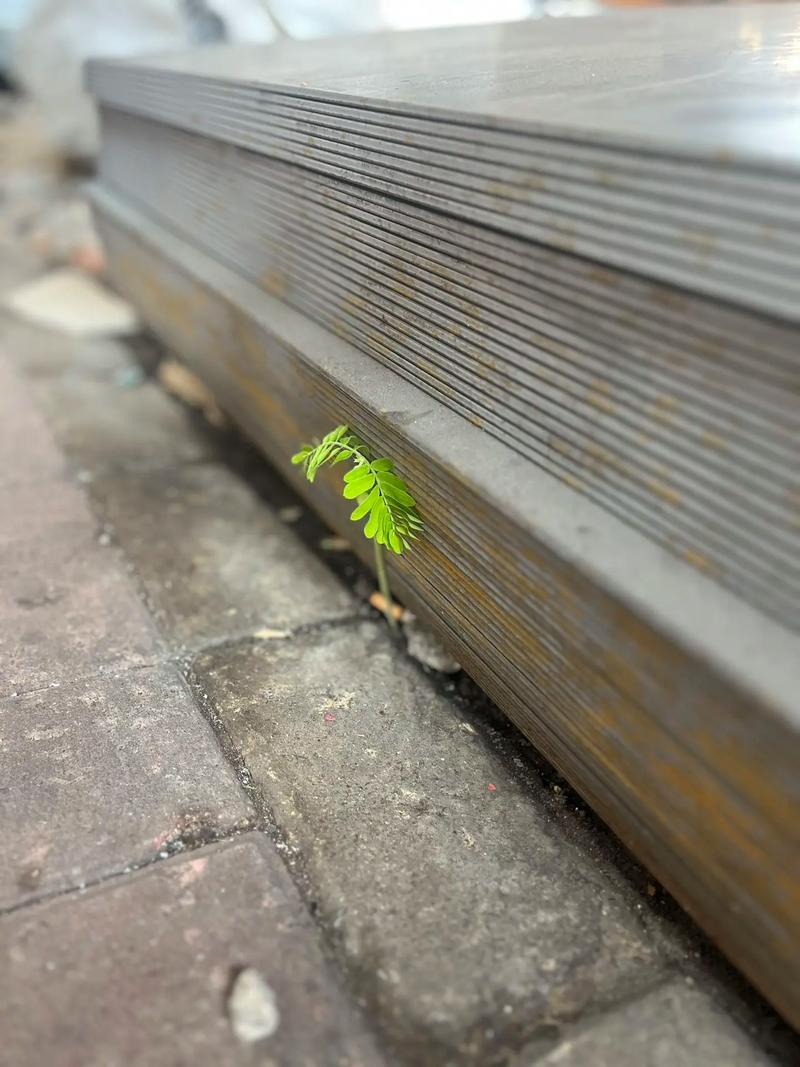 seo夹缝求生