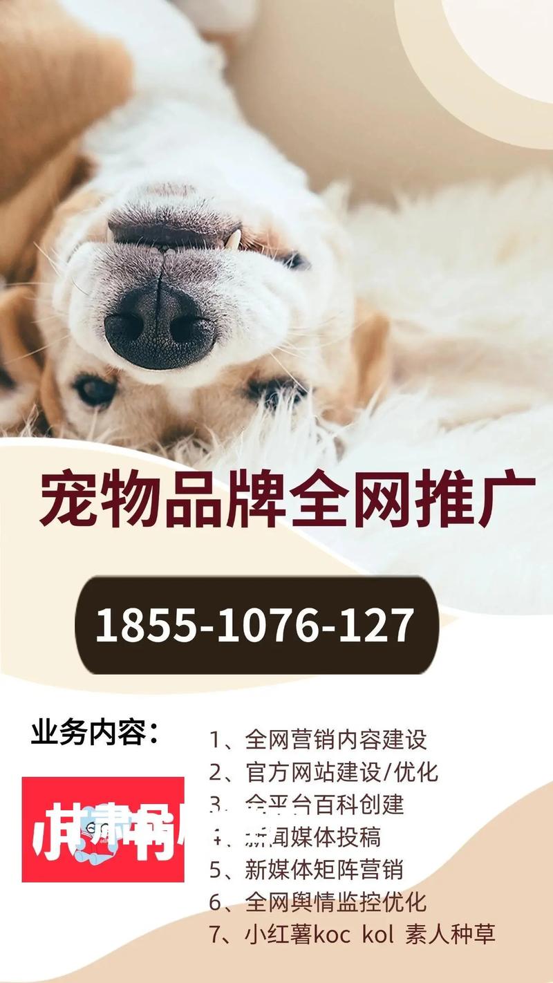 甘肃省营销网站优化