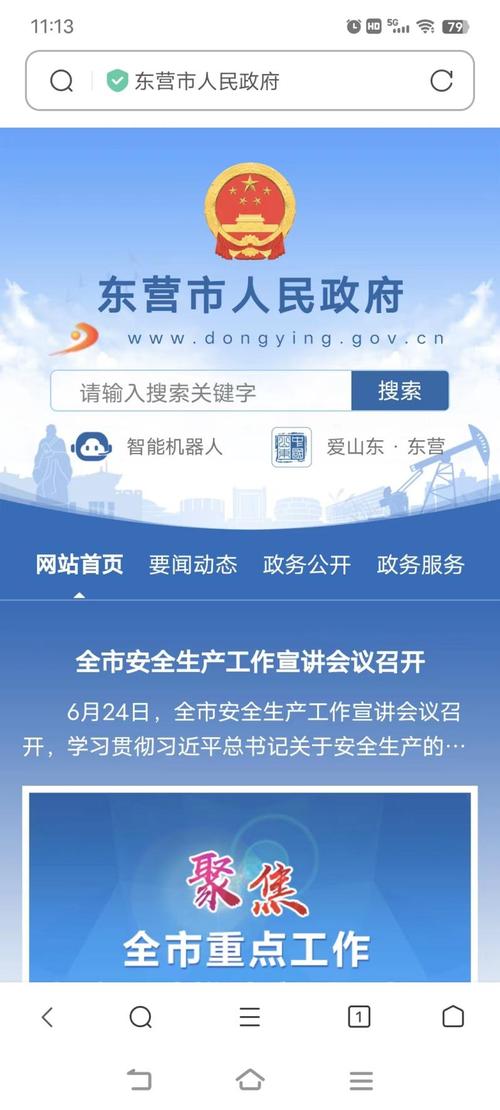东营网站优化怎么选