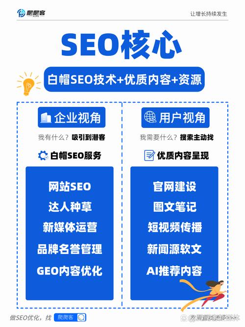 公司网站seo优化外包