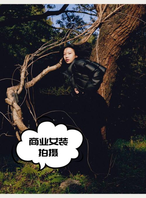 服装seo推广