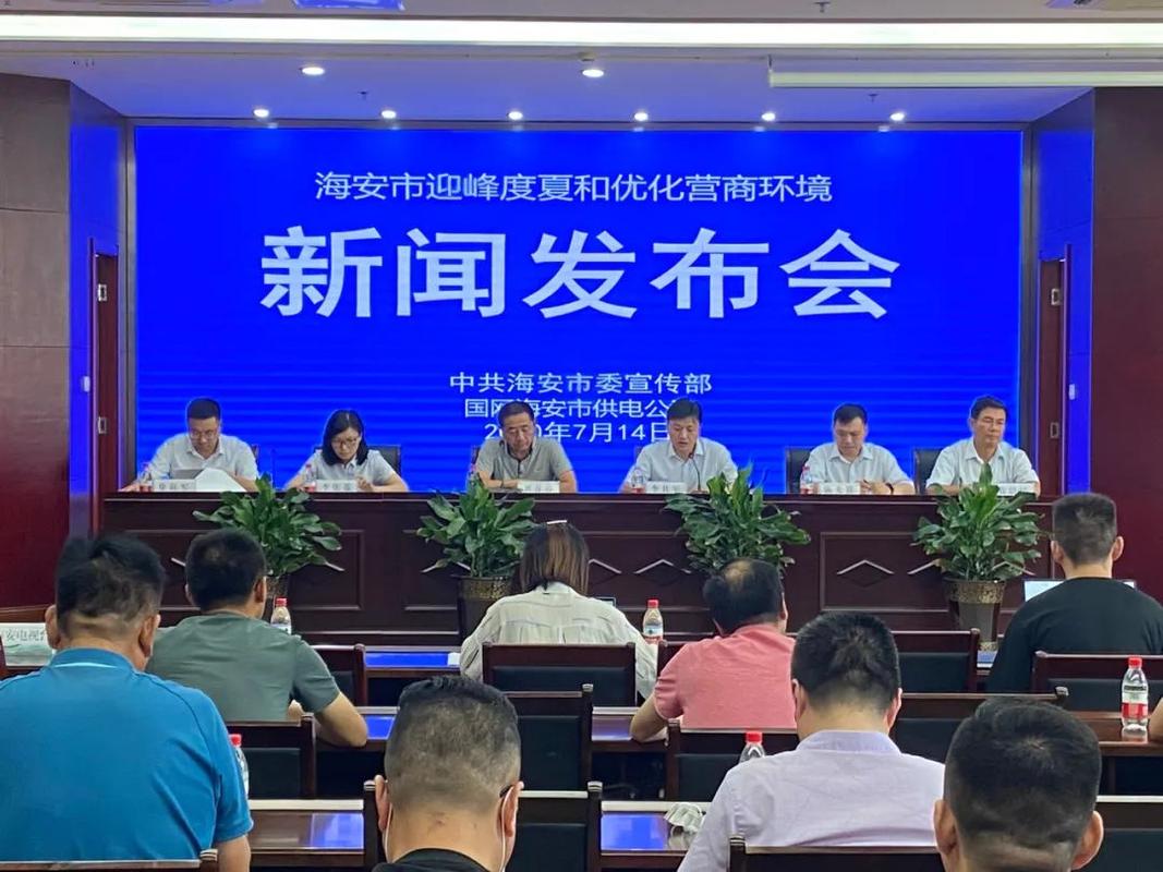 海安市网站优化方案