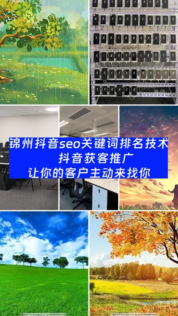 锦州seo关键词推广