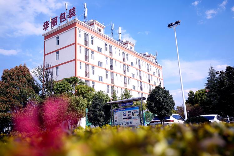 楚雄seo外包
