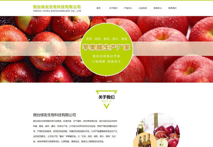 烟台网站建设方案优化