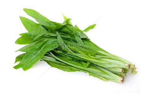 菠菜入侵seo