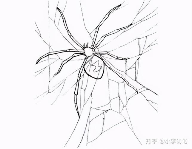 seo矩阵系统蜘蛛屯