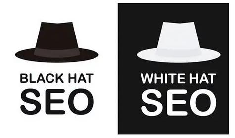 seo黑帽购买