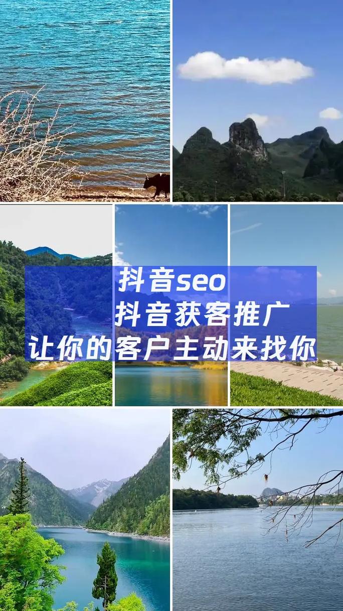 湖州抖音seo优化企业