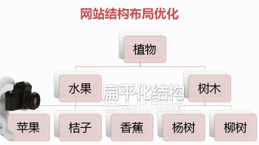 seo3的性质