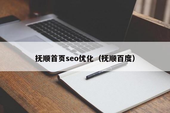 抚顺seo优化快速入门