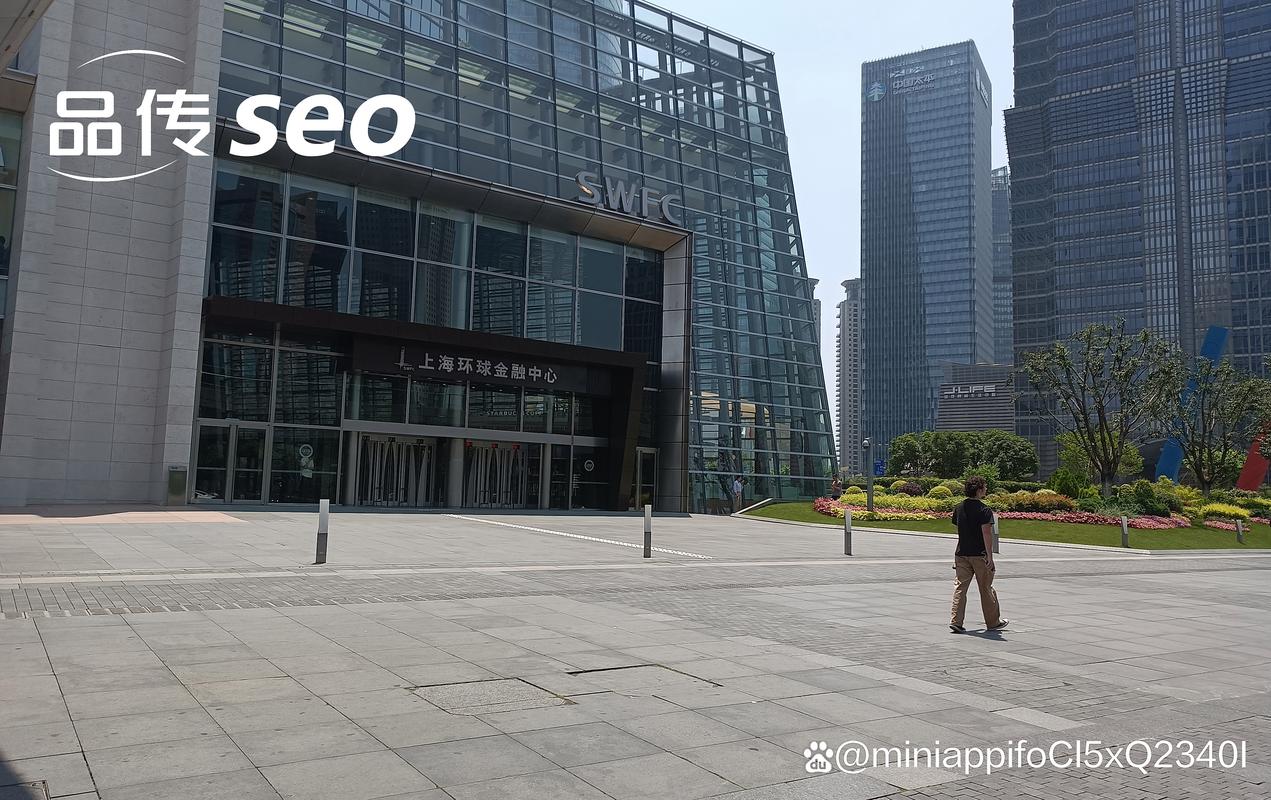 上海十大seo公司