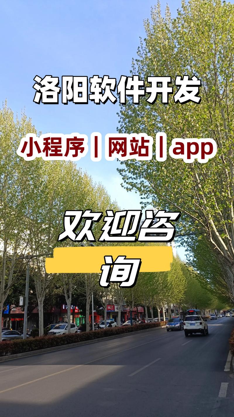 洛阳优化网站怎么样