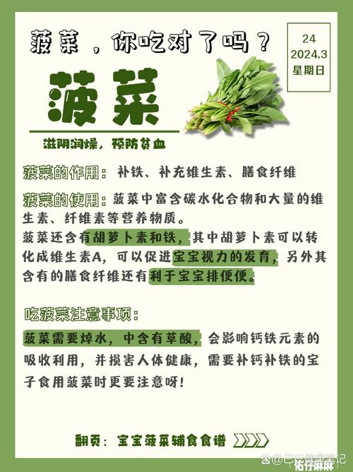 菠菜seo重点需要掌握哪些