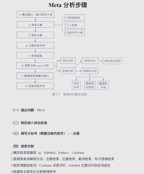 seo如何优化meta标签