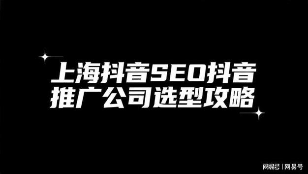 普陀抖音seo客服