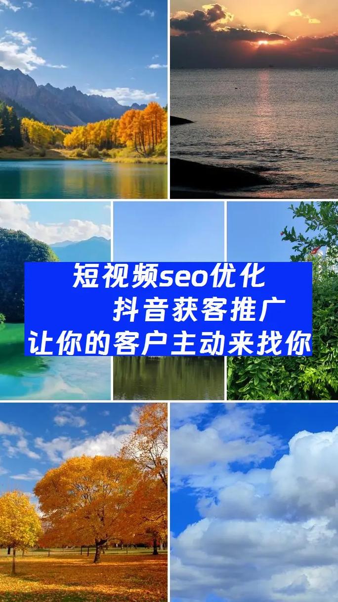 免费seo视频教程