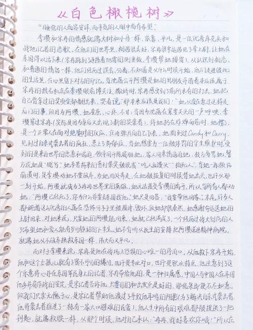 写给seo的文章