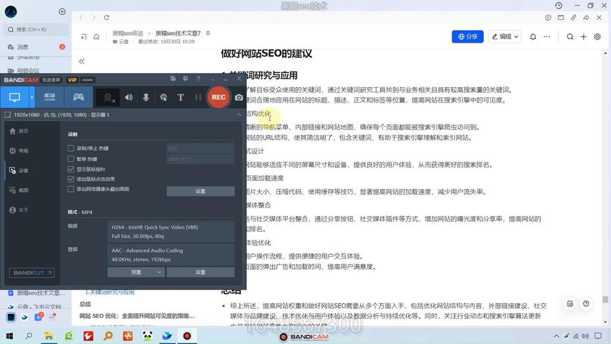 黑帽seo网站优化