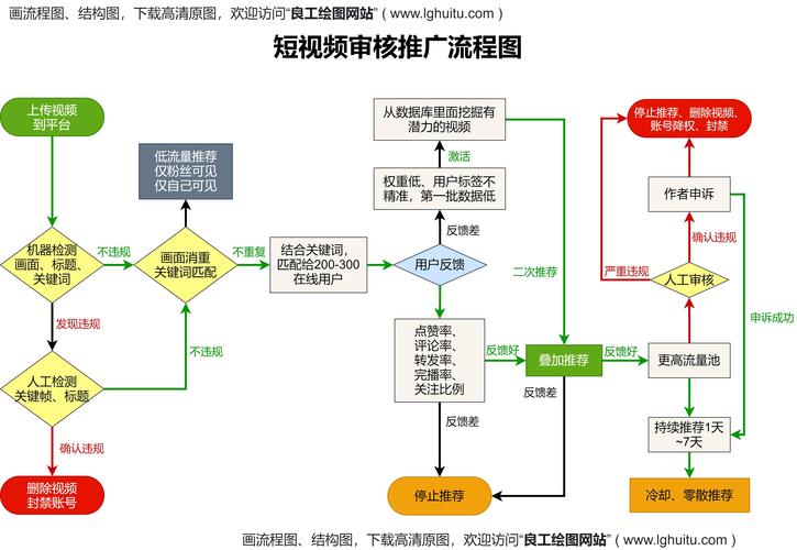 专业抖音seo流程