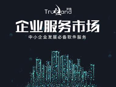 珍岛seo