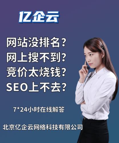 揭阳技术seo