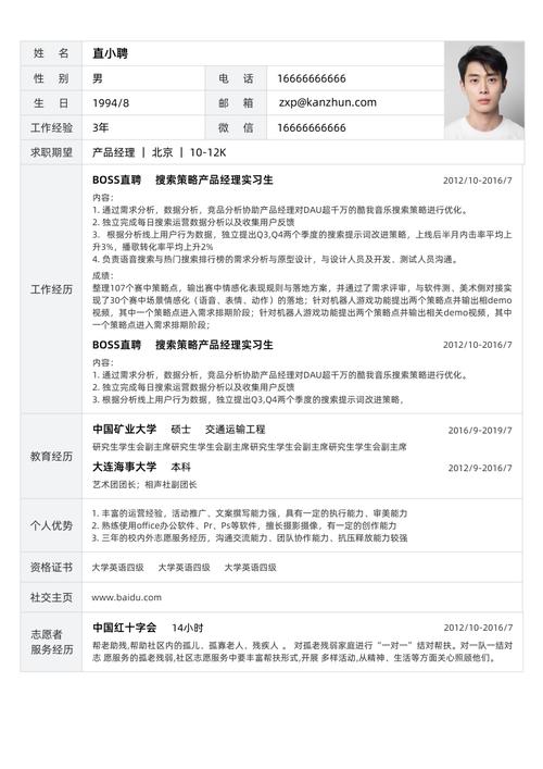 seo总监工作简历
