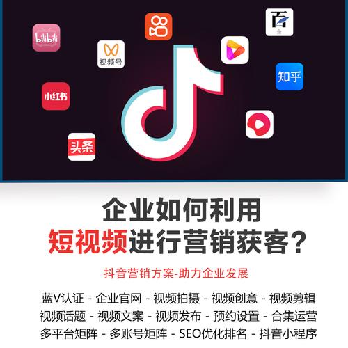 广东广州抖音seo运营