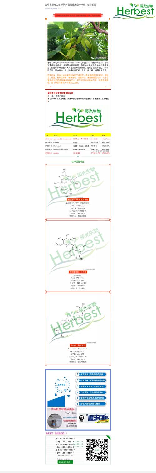 seo047的简单介绍